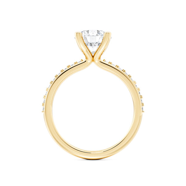 Yellow Gold Round Solitaire Diamond Engagement Ring with Diamond Band